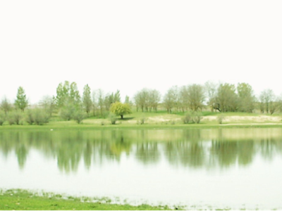 Озеро Балихино Озеро Балихино.