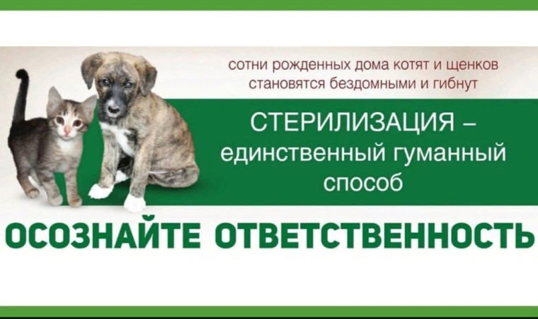 О проведении бесплатной и льготной стерилизации домашних животных (собак и кошек).. О проведении бесплатной и льготной стерилизации домашних животных (собак и кошек)..