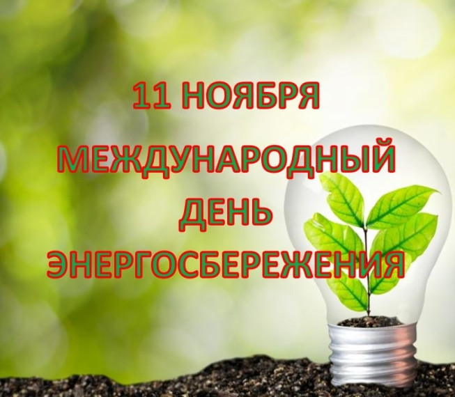 11 ноября - Международный День энергосбережения. 11 ноября - Международный День энергосбережения.