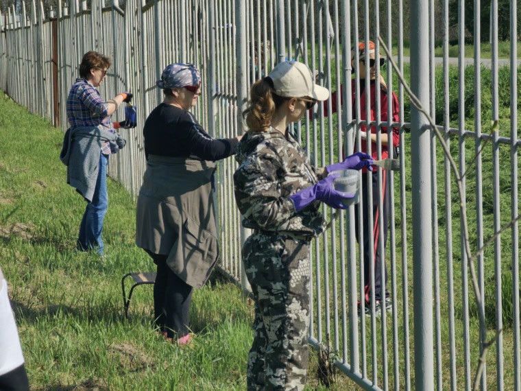 В селе Ростовановском прошел Всероссийский субботник. В селе Ростовановском прошел Всероссийский субботник.